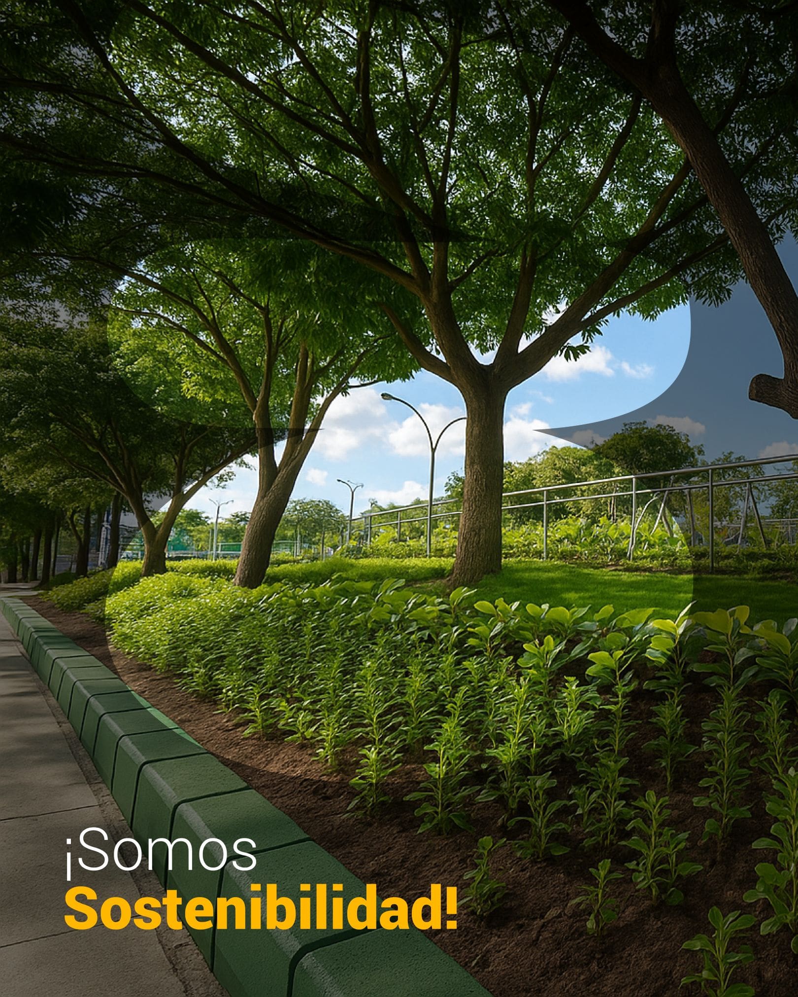 Somos Sostenibilidad